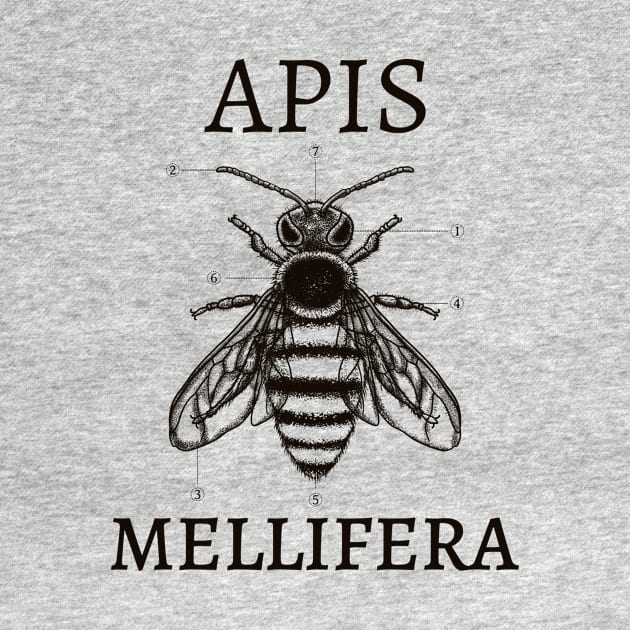 Apis Mellifera by OnePush